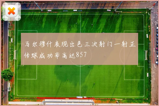 马尔穆什表现出色三次射门一射正传球成功率高达857