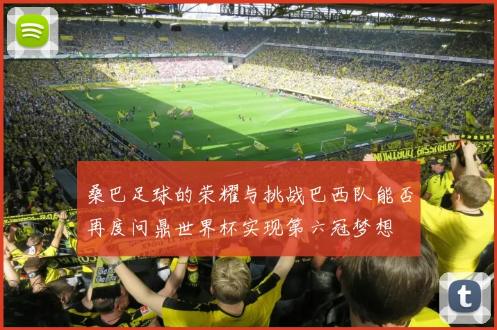 桑巴足球的荣耀与挑战巴西队能否再度问鼎世界杯实现第六冠梦想